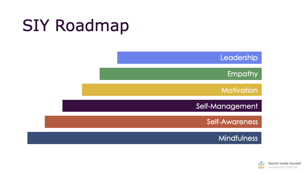 SIY Roadmap: developmental progression from mindfulness to leadership